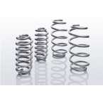 Eibach E30-20-024-02-22 Pro Lift Kit Molle