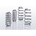 Eibach E30-63-027-01-22 Pro Lift Kit Molle
